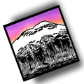 SOUTH (Art Print)