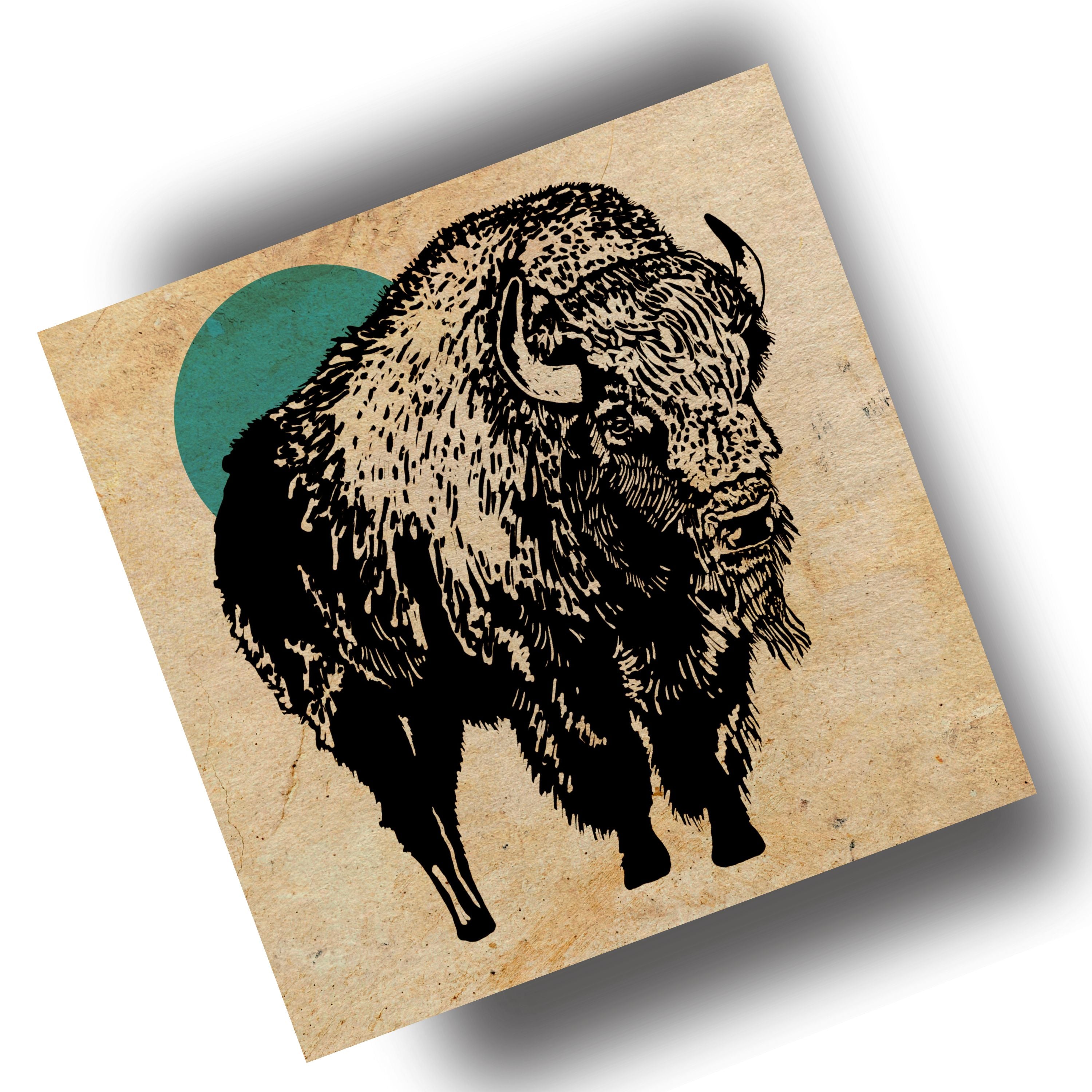 Let's Go Buffalo - (Art Print) 12x12