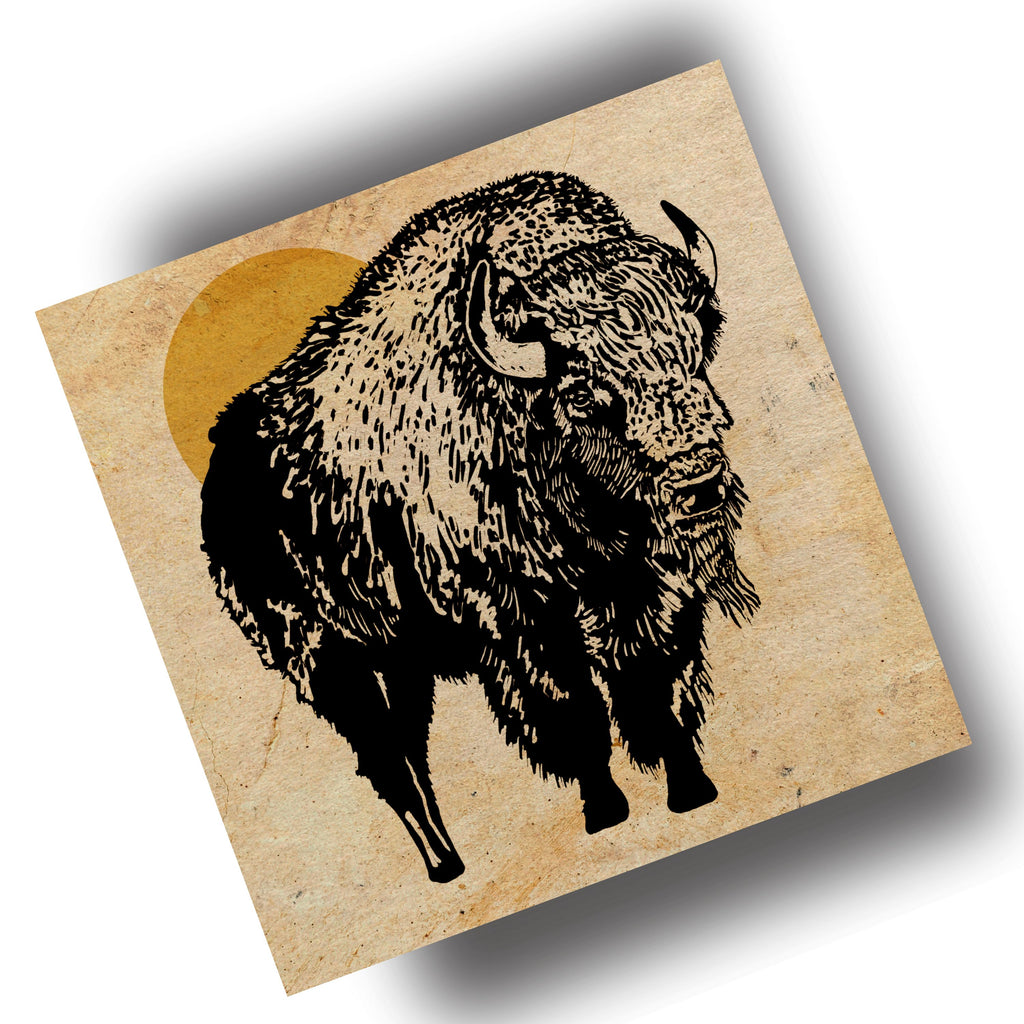 Let's Go Buffalo - (Art Print) 12x12