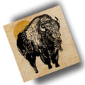 Let's Go Buffalo - (Art Print) 12x12