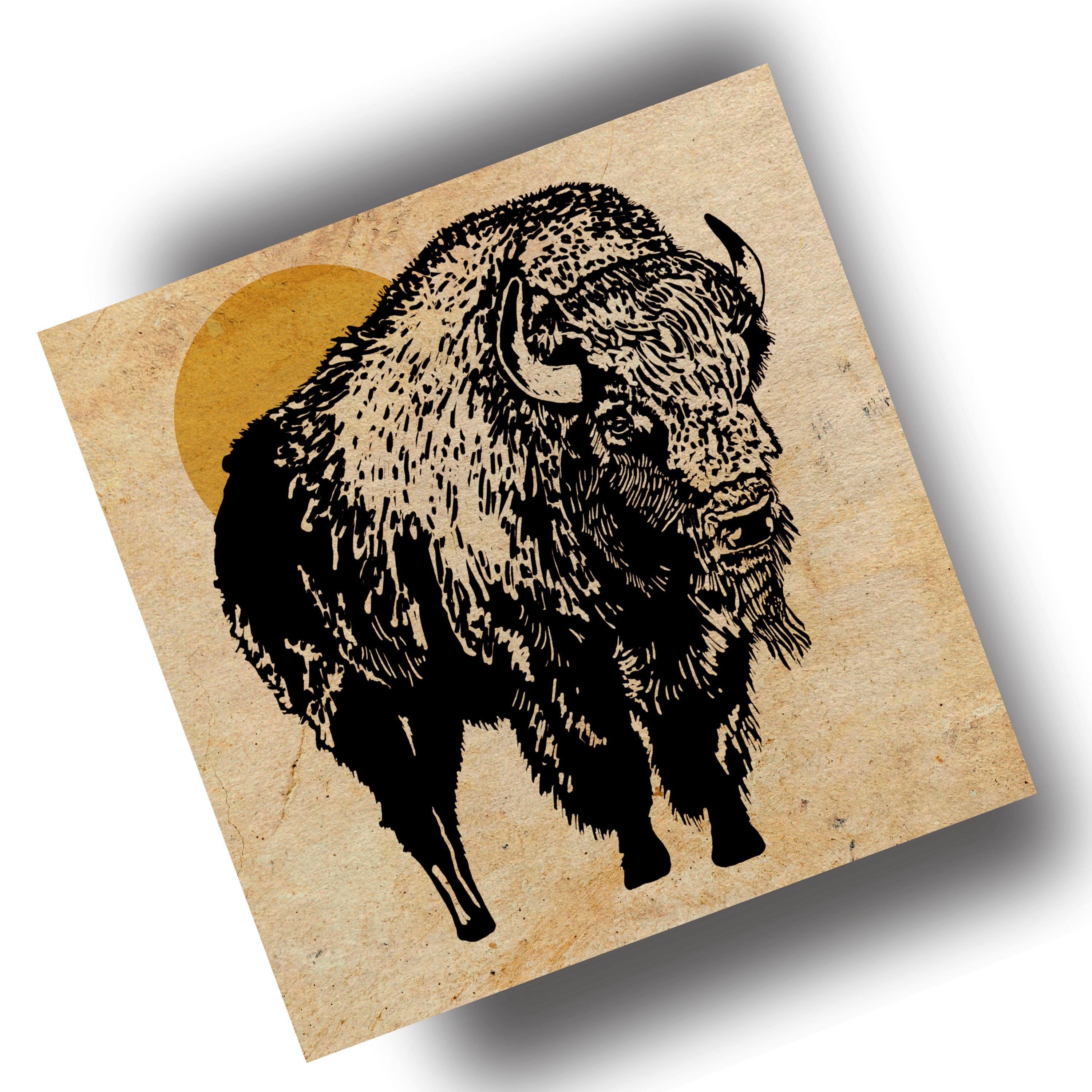 Let's Go Buffalo - (Art Print) 12x12