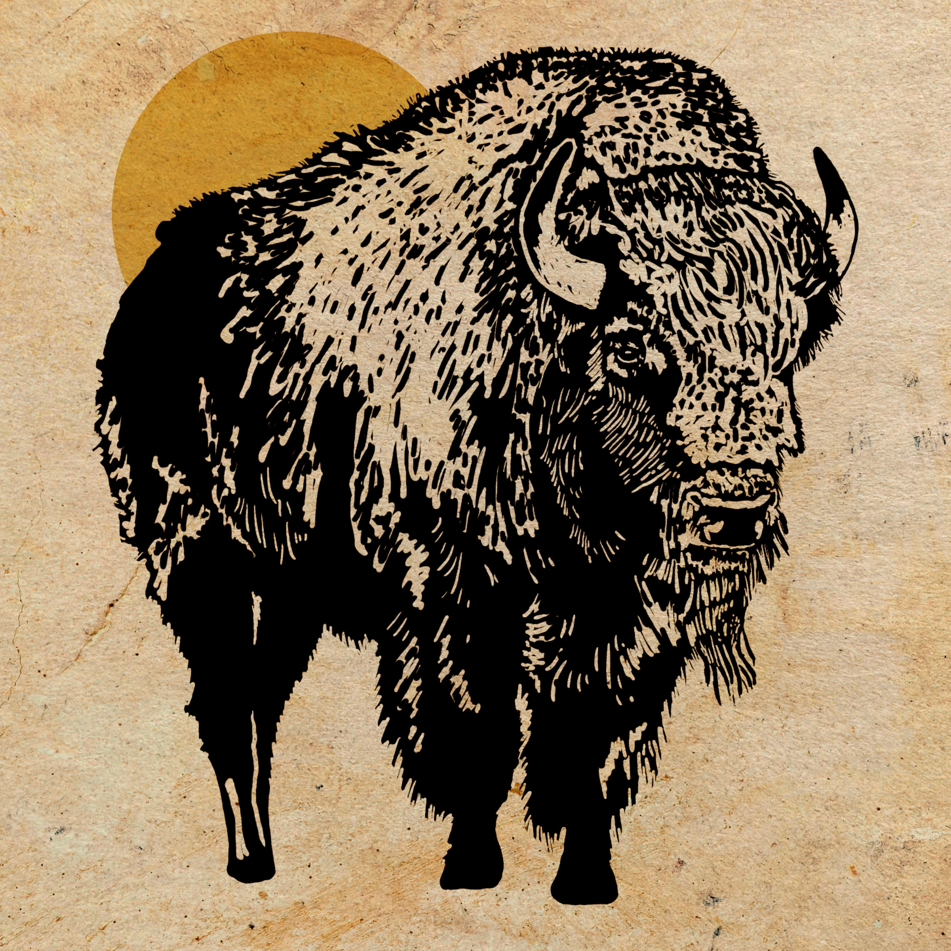 Let's Go Buffalo - (Art Print) 12x12