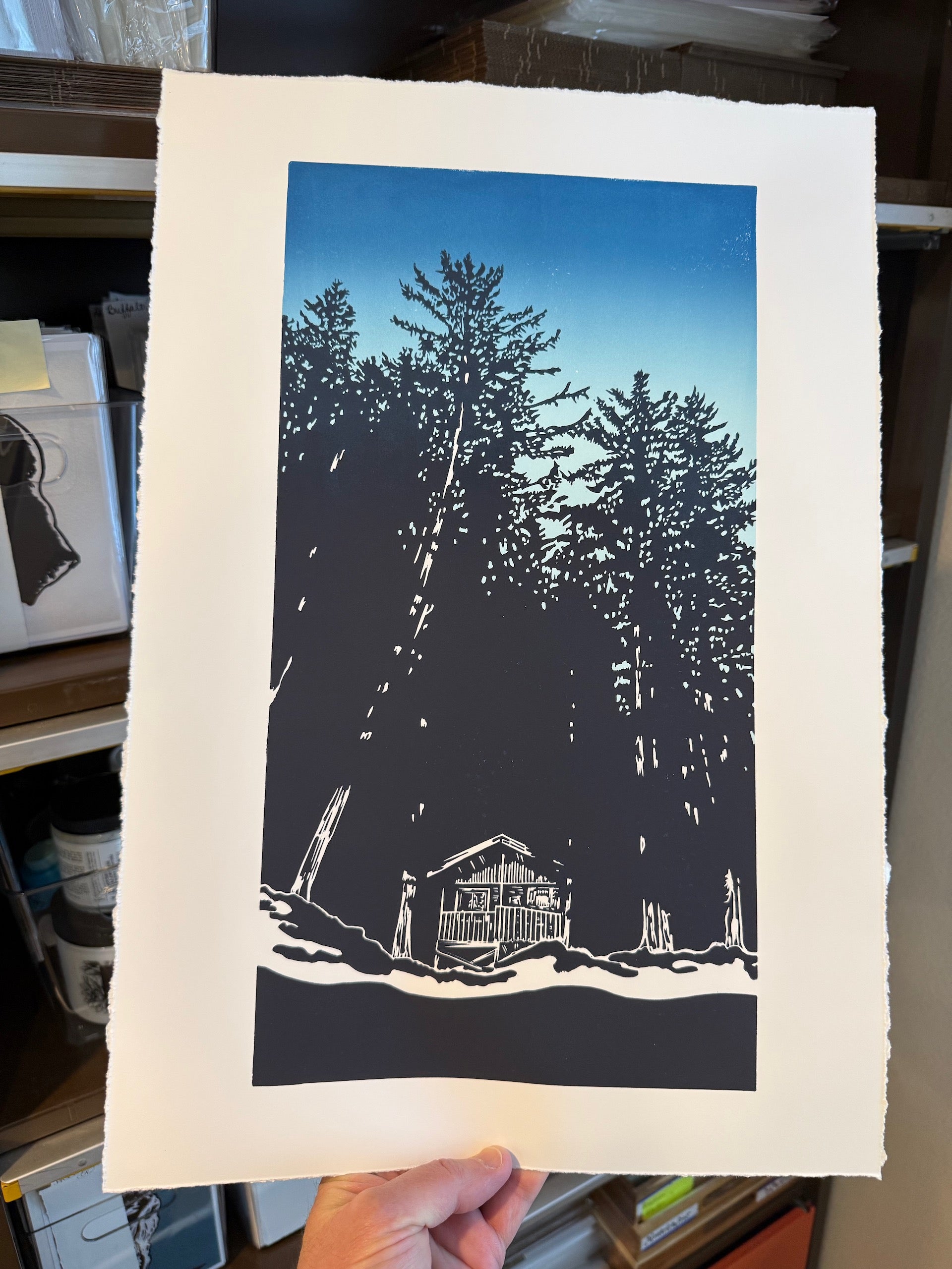 Tucked In (LTD Edition)