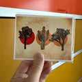 Desert Postcard Sets